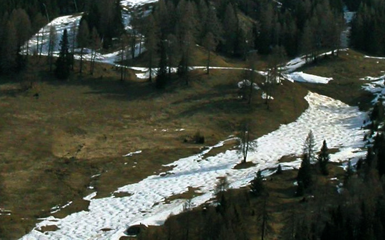 Auf solche trostlosen Bilder können wir im Winter zukünftig gerne verzichten! Photo: Christian Rixen, SLF Davos 